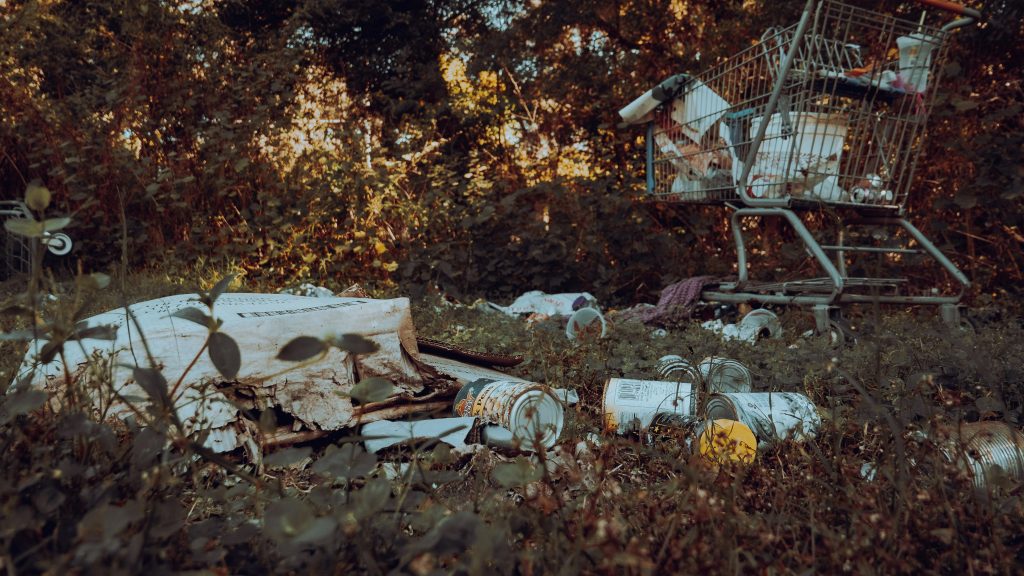 Discarded cart and trash in a forest, highlighting environmental pollution.